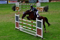 E’ il giovane cavaliere catanese Ernesto Vacirca il Campione regionale siciliano di salto ostacoli di equitazione 2016. Il diciannovenne tesserato per il Circolo ippico Valverde ha conquistato il titolo riservato a Senior e Young ridere in sella a Ultimo Fs in occasione dell’ultima giornata di gare, che ha visto oltre trecento binomi provenienti da tutta la Sicilia contendersi 
