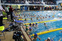 È stata la Polisportiva “Mimmo Ferrito” a conquistare il podio nella “Christmas Cup”, manifestazione che ha visto le 18 società in gara occupare pacificamente e allegramente la piscina della Polisportiva Palermo per dare vita a un fine settimana di grande sport. Pochissime le defezioni, naturali come solitamente può accadere nelle grandi kermesse sportive. Sono stati, 
