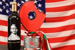 Lo street food di Nino ‘u Ballerino approda negli Stati Uniti, in occasione di un evento straordinario che coniuga tradizione gastronomica, musica e scambi culturali. Il più famoso meusaro del mondo sarà infatti ospite d’onore della finale del “Festival of Song Usa 2017”, che si terrà il 29 gennaio presso il teatro “The Grand Prospect 
